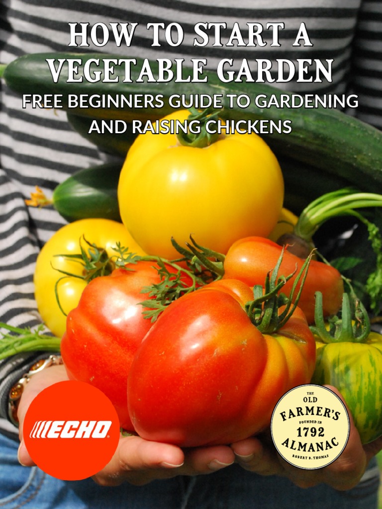 Beginner's Guide to Vegetable Gardening | PDF | Vegetables | Soil
