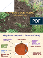 HOW DOES SOIL FORM