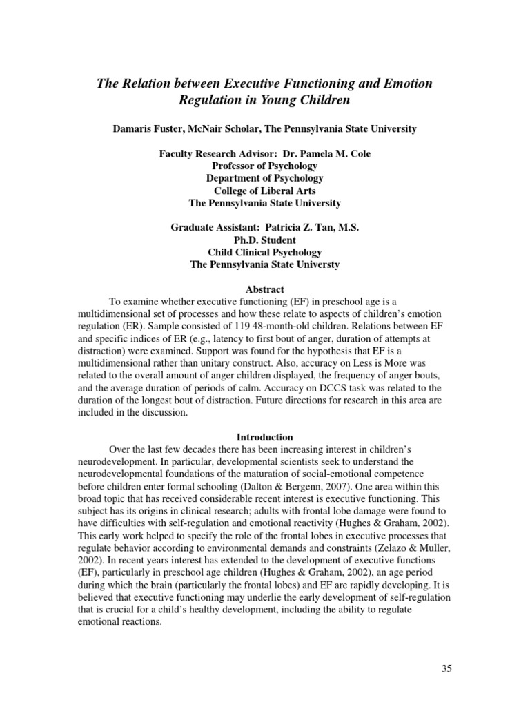 The Relation Between Executive Functioning and Emotion Regulation in ...