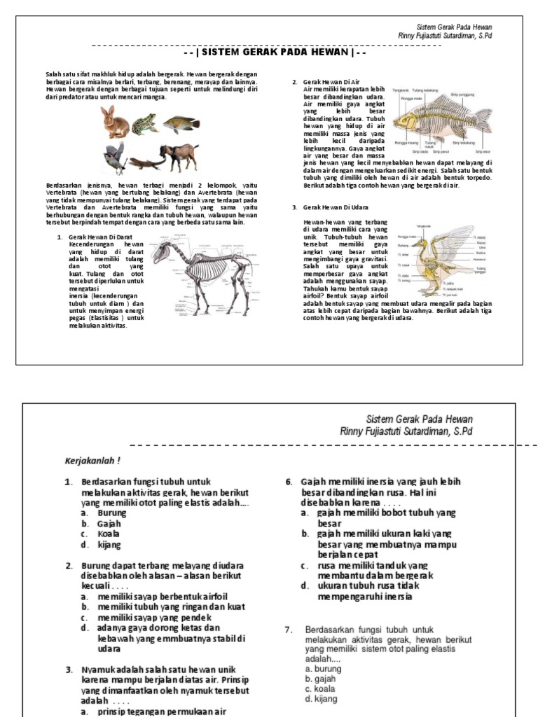 Modul Sistem Gerak Pada Hewan