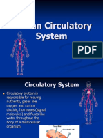 Circulatory Ppt