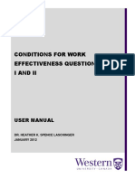 Conditions For Work Effectiveness Questionnaire Iandii: User Manual
