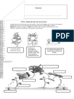 Guía Ciclo Planta