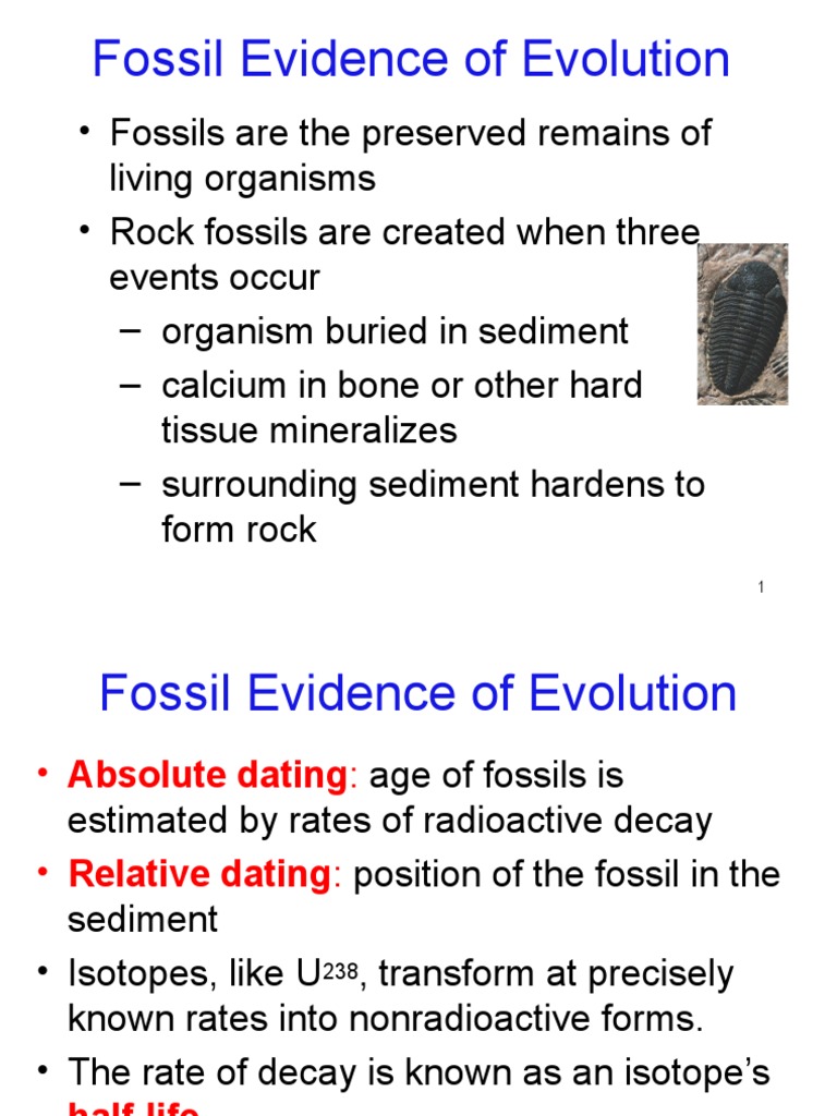 Fossil Evidence Evolution PDF