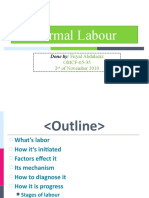 5.normal Labour FIRYAL