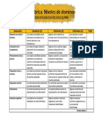 Rubrica - Niveles de Dominio