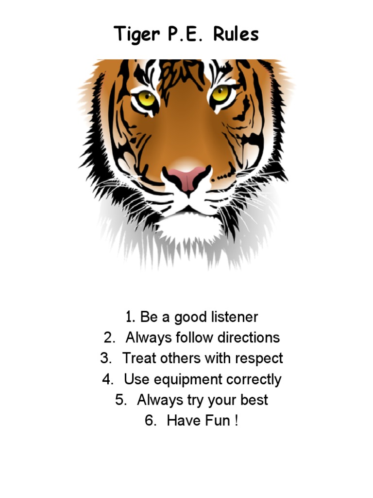 Pe Rules | PDF