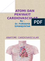 Anatomi Dan Penyakit Cardiovascular