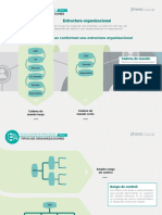 Estructura Organizacional