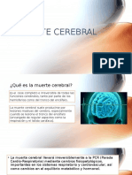 Muerte cerebral: causas, diagnóstico y pronóstico