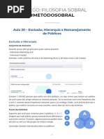 Live_020_-_Hierarquia_exclus_o_e_remanejamento_de_p_blicos.pdf