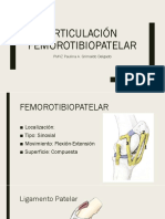 Artrología - Femorotibiopatelar