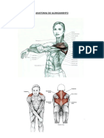 Anatomia Do Alongamento PDF