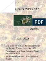 Acariosis Interna 2002 (1)