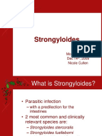 strongiloides