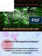 mucopolisacaridos