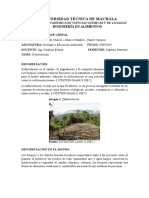 DEFORESTACION