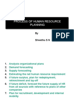 Process of Human Resource Planning