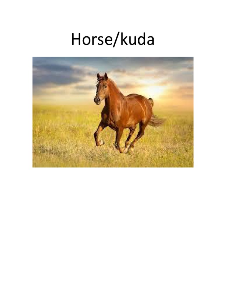 Horse | PDF