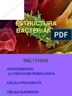 ESTRUCTURA BACTERIANA