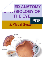 Visual System