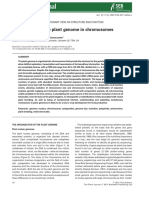 Plant Genome Organisation