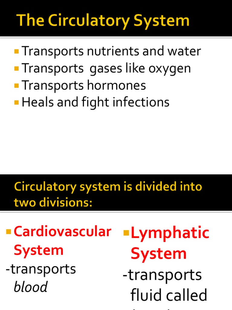 Transports Nutrients and Water Transports Gases Like Oxygen Transports ...