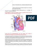Generalidades Partes y Funciones Del Sistema Cardiovascular