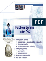 10 CNS Pathways PDF