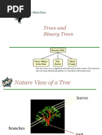 Trees and Binary Trees: Become Rich