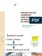 Exp - PROYECTOS DE CARBONO CaritasGO PDF