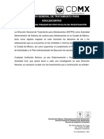 Lineamientos para Investigaciones PDF