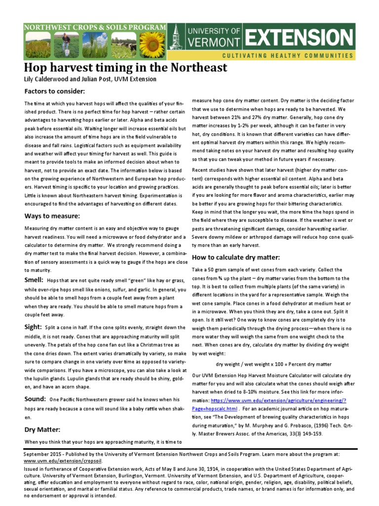 Hop Harvest Determination Factsheet | PDF | Hops | Onion