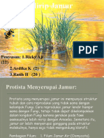 Protista Mirip Jamur