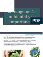 La Reingeniería Ambiental y Su Importancia