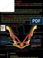 PERINÉ PPT - PPSX