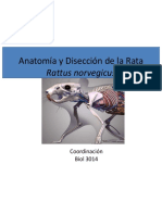 358232781-Anatomia-de-La-Rata-Externa-e-Interna-Tacher.pdf