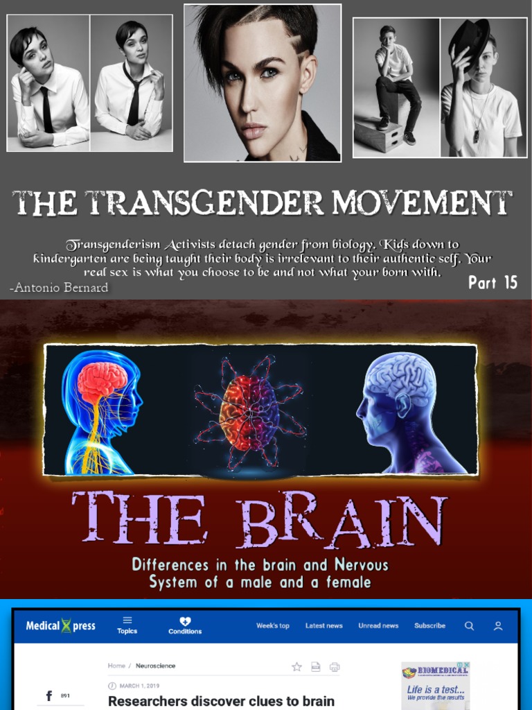 Understanding Sex Differences in Brain Function | PDF | Cerebral Cortex ...