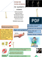 BORE System II