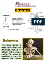 The Bone System 1