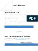 Dengue Fever Prevention