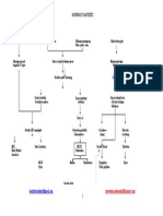 98397378 Pathways Gastritis