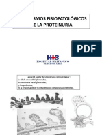 MECANISMOS_FISIOPATOLOGICOS_PROTEINURIA.pdf