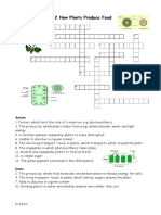 Plants Crossword