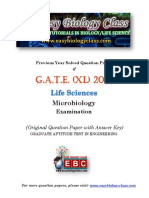 Gate XL