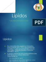 Lipidos y