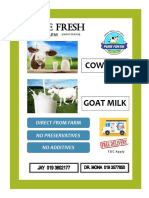 Flyer Milk 4