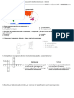 Evaluacion General de Sociales I Periodo 2019