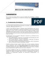 curriculum_cognitivo.doc