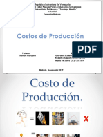 Costo de Producción